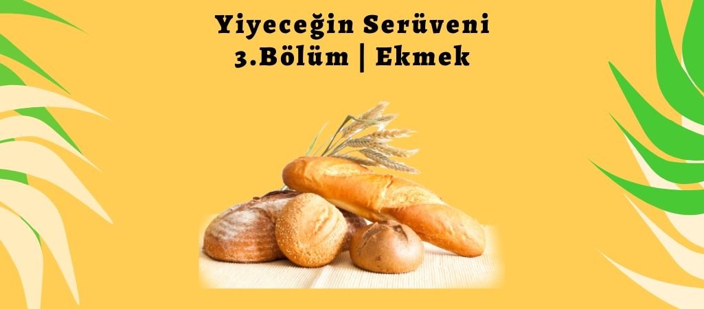 Yiyeceğin Serüveni – 3. Bölüm – Ekmek