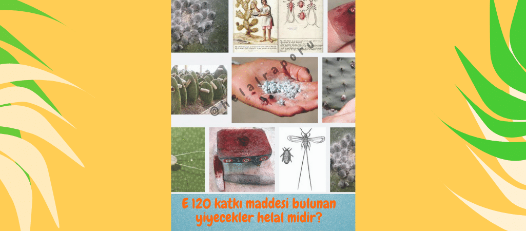 E120 Katkı Maddesi Bulunan Yiyecekler Helal Midir?