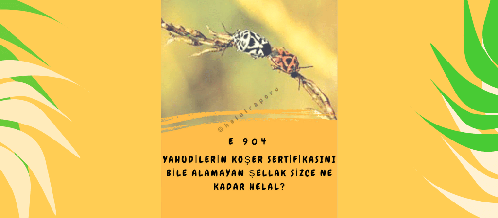 Yahudilerin Koşer Sertifikasını Bile Alamayan Şellak!