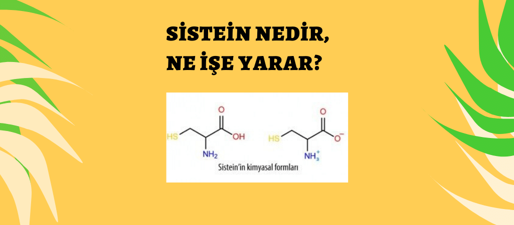 Sistein Ne Demektir? Sistein Ne İşe Yarar?