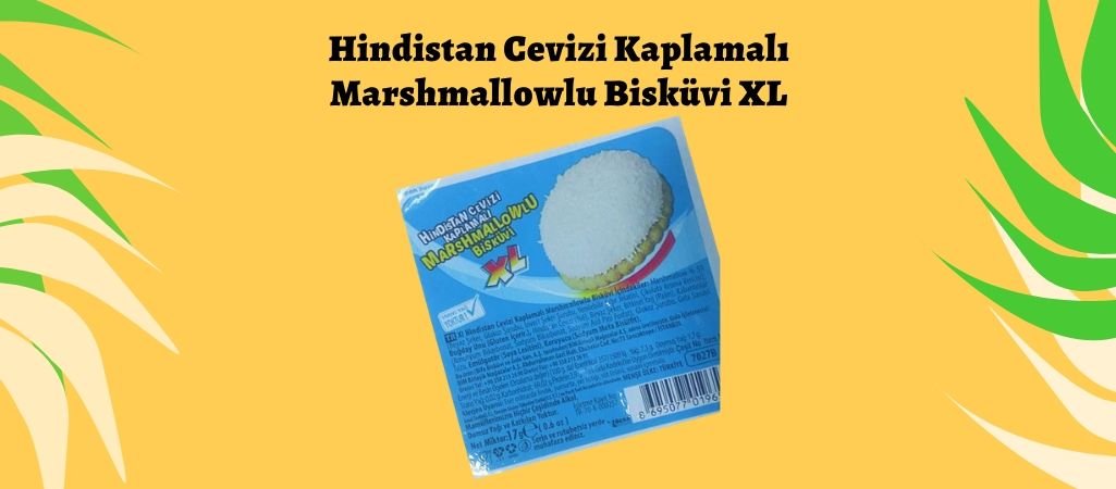 XL Bisküvi