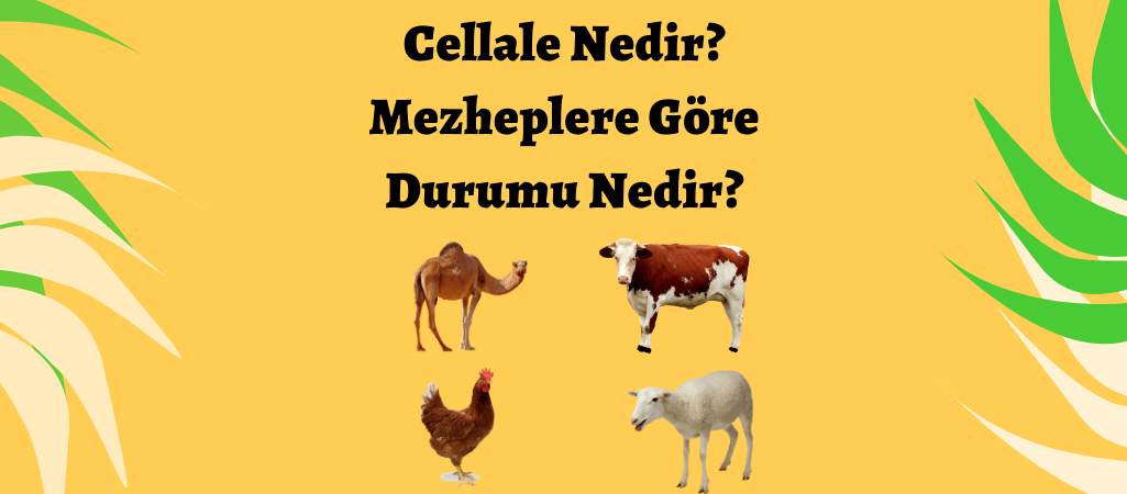 Cellale Nedir? Mezheplere Göre Durumu Nedir?