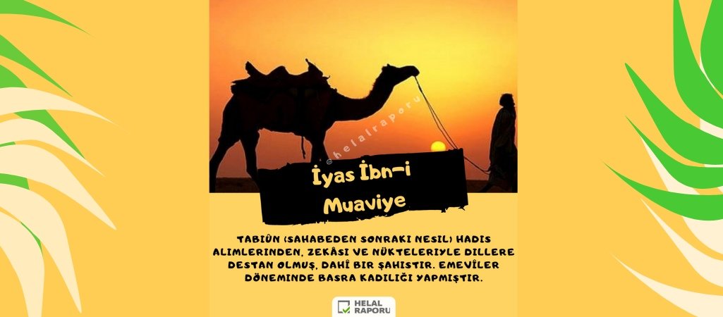 Kadı İyas İle Helal Gıda Üzerine Bir Kıssa
