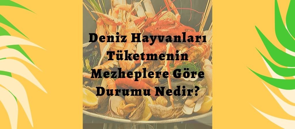 Deniz Hayvanları