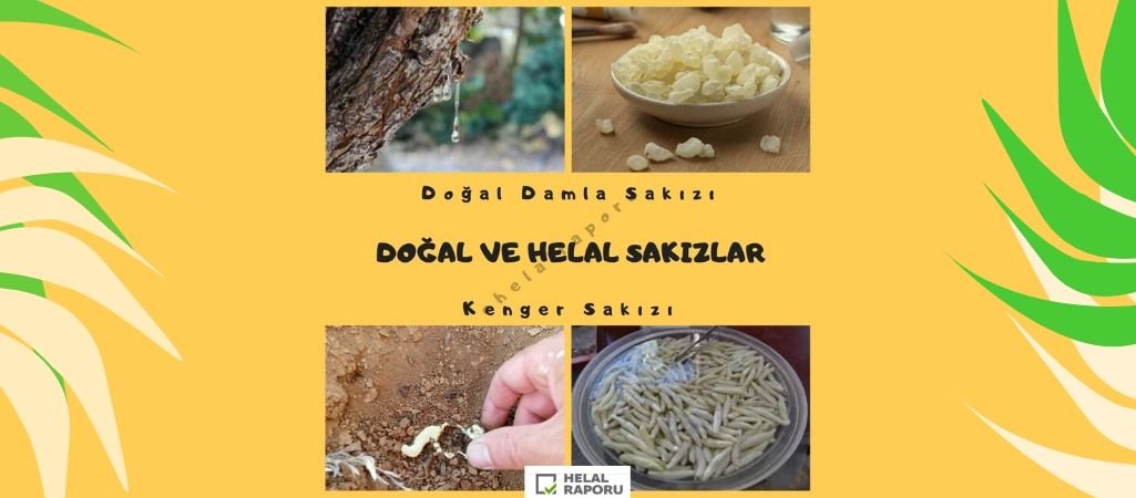 Doğal Sakız ve Helal Sakızlar