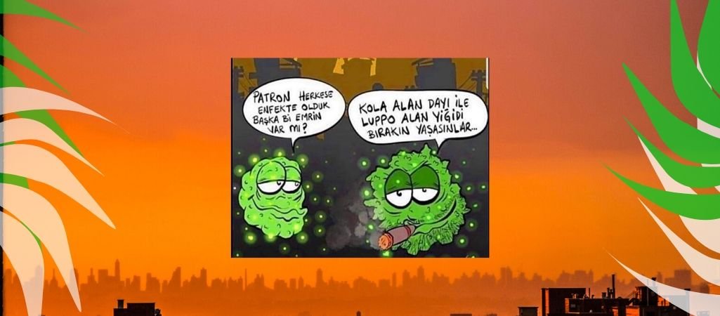 Şölen Luppo Marshmallowlu Kekler Helal Mi?
