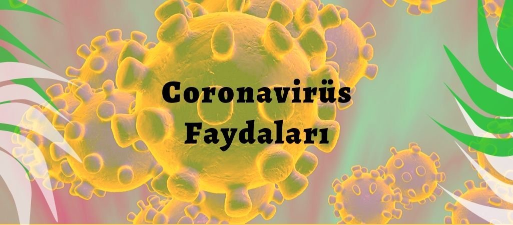 Corona Virüsü Faydaları Nelerdir?