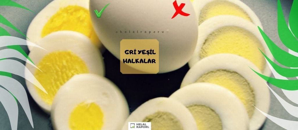Her Yumurta Yenir Mi❓